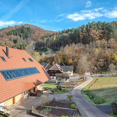 Pensionat Vogtadeshof Wolfach