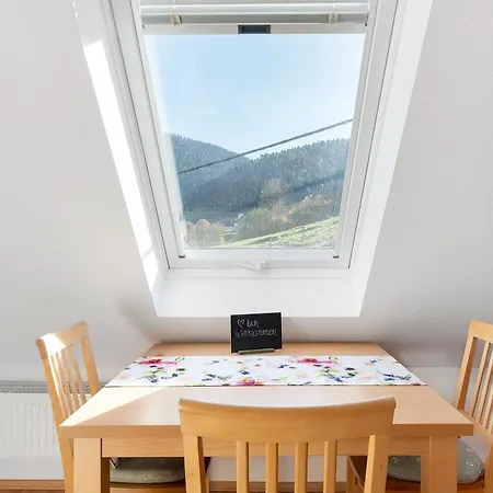 Vogtadeshof 3* Wolfach